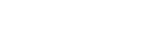 Netvisio Netvisio
