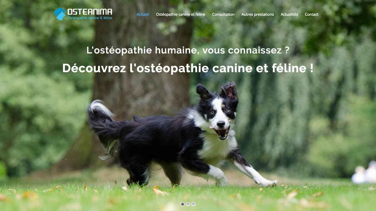 Osteanima