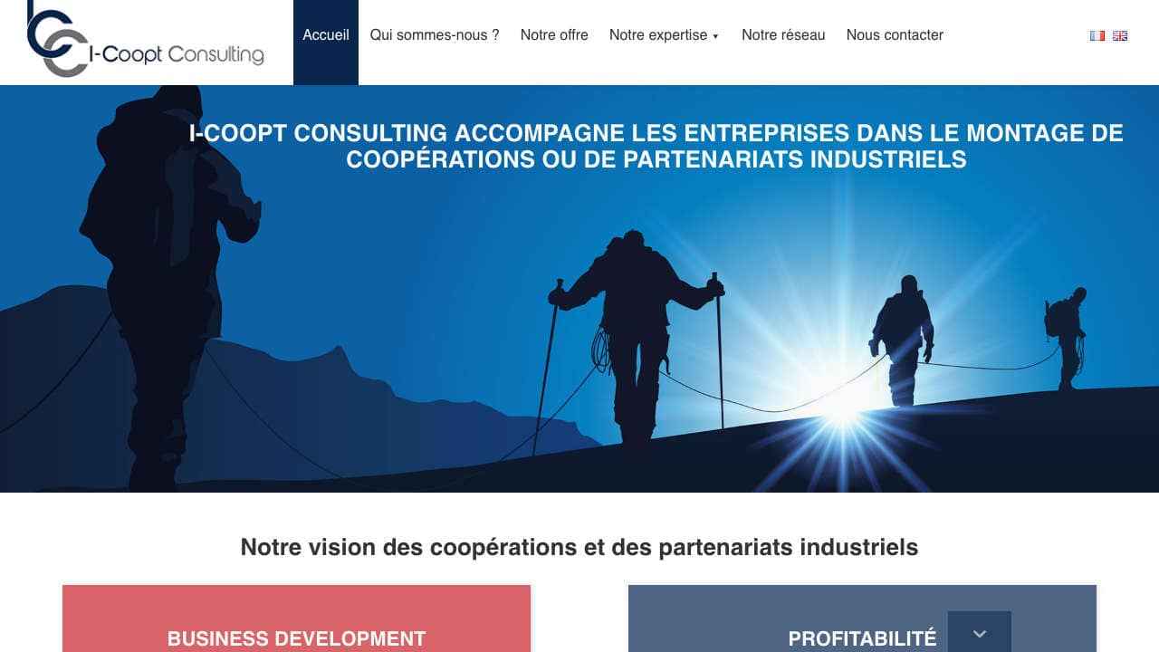 I-coopt Consulting