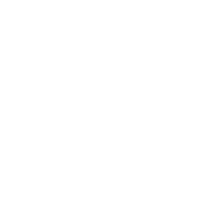 Tema Galerie Logo Tema Galerie