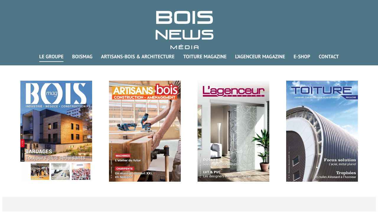 Bois News Media