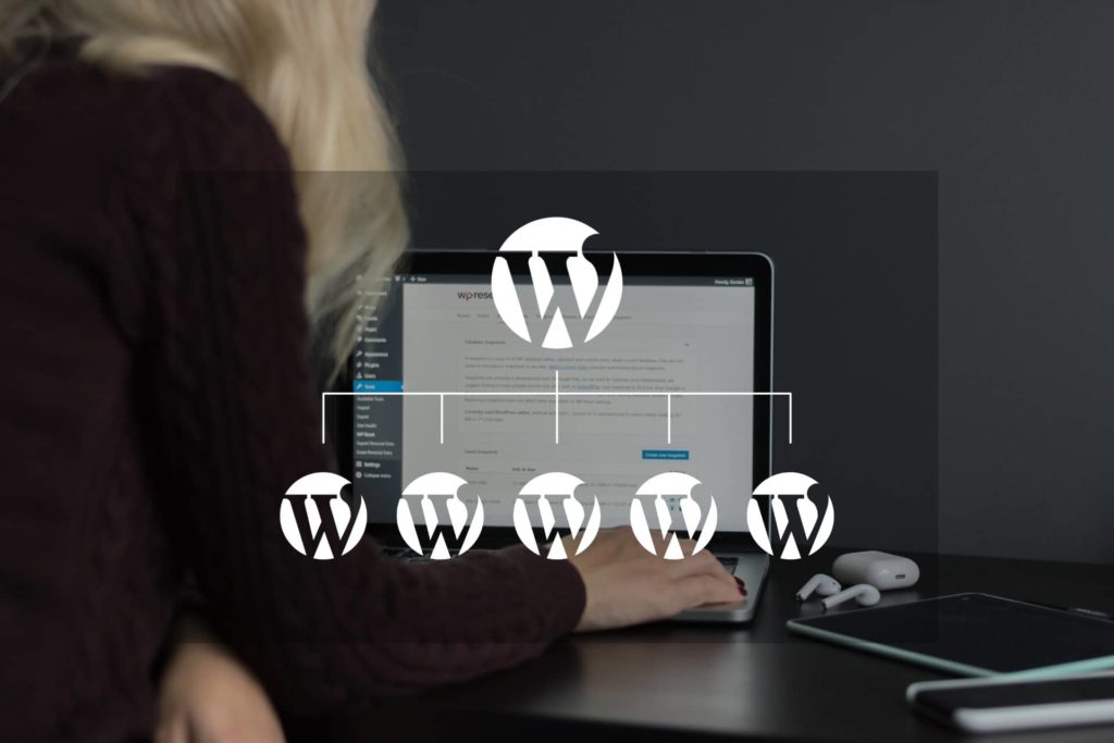 multisite wordpress youdemus