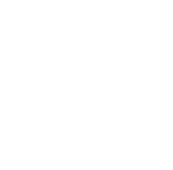Logo TEI