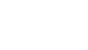 nautilus logo blanc