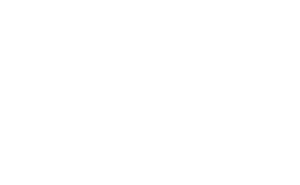 Logo SFM blanc