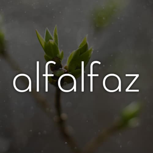 Création du site internet de coaching Alfalfaz