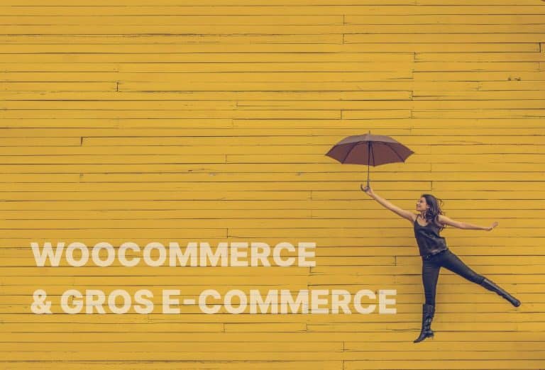Création de sites e-commerce avec Woocommerce