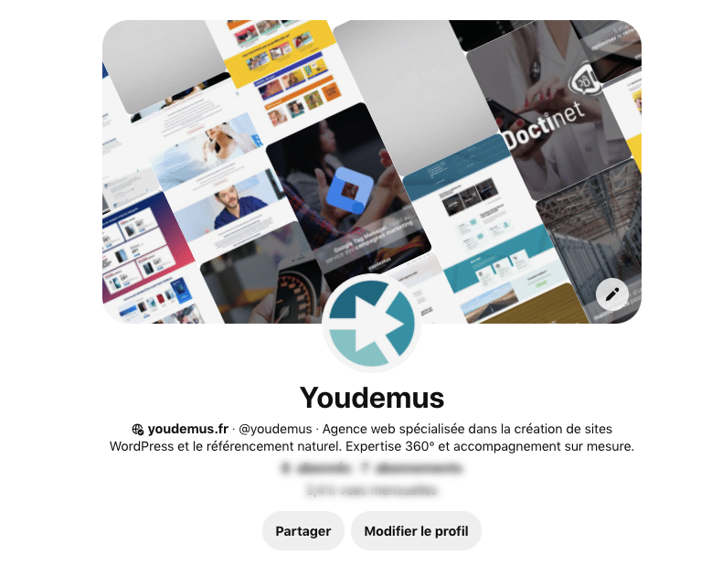 Capture de profil Youdemus sur Pinterest