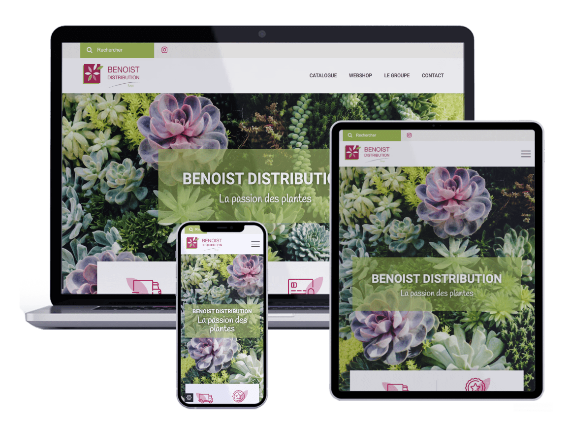 Mockup web Benoist Distribution