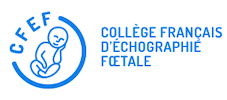 Logo CFEF